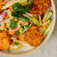 SHRIMP COCONUT WITH APPLE SALAD